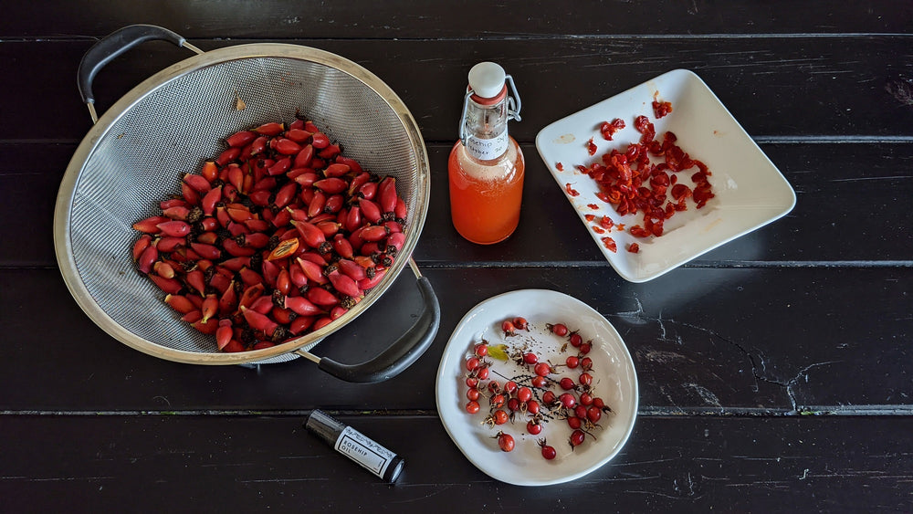 All About Rosehips // harvesting & preparing for syrup & tea