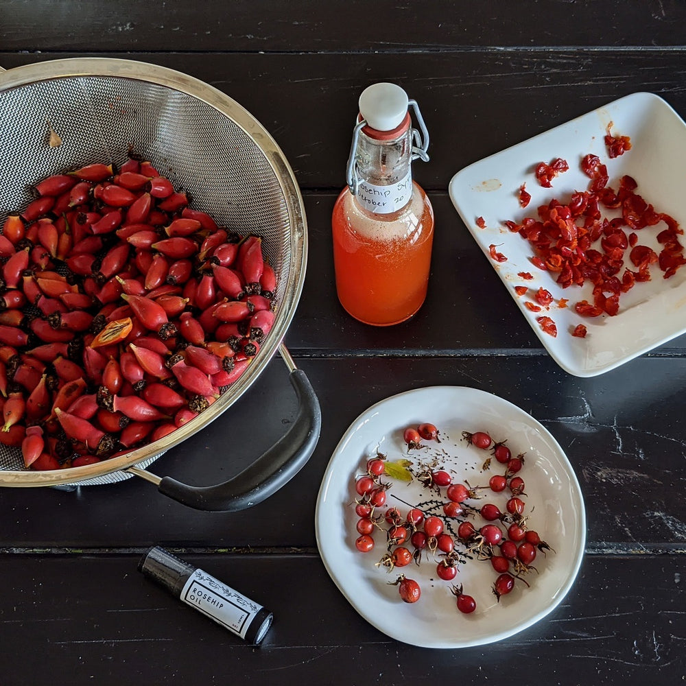 All About Rosehips // harvesting & preparing for syrup & tea