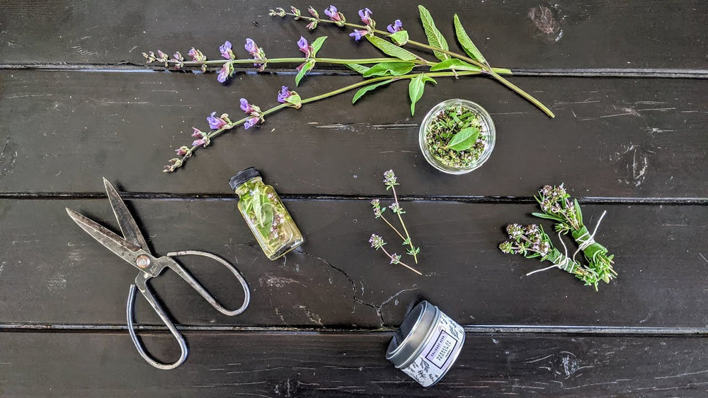 Savory Herbs // harvesting & preserving for the kitchen
